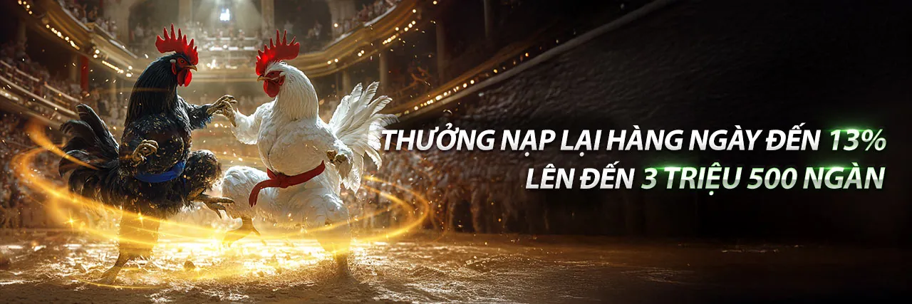 Đấu trường đá gà trực tiếp với ánh sáng rực rỡ và không khí sôi động
