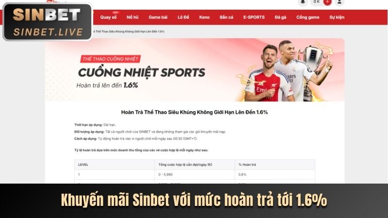 Biểu đồ tỷ lệ trả thưởng hấp dẫn tại Sinbet